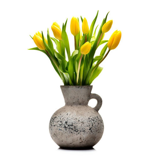 Gelbe Tulpen